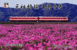 ⑪2014年3月から新発売！ 「キハ２８ ５８ と春爛漫のれんげ」